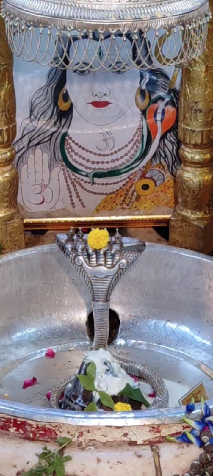 Rudrabhishek to Shree Kubereshwar Mahadev