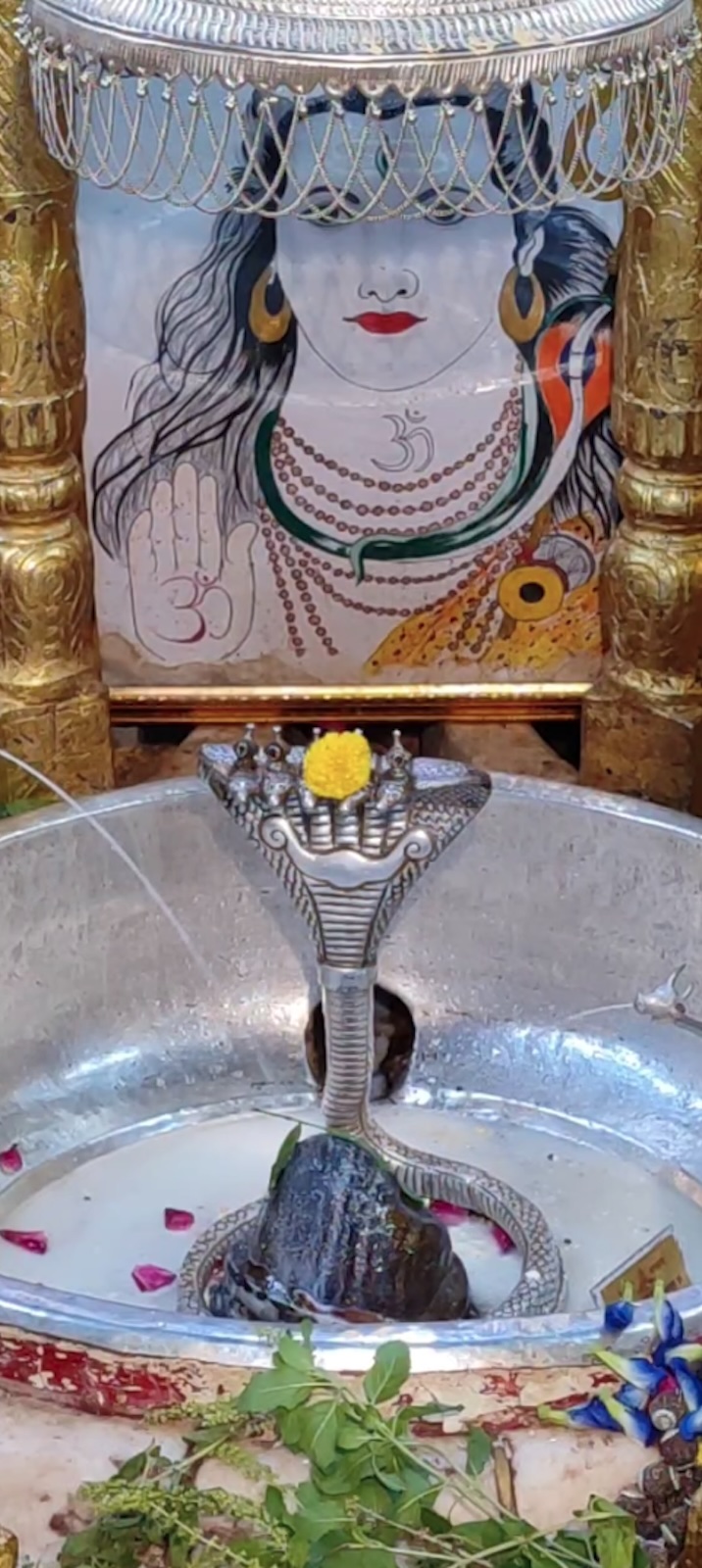Rudrabhishek to Shree Kubereshwar Mahadev