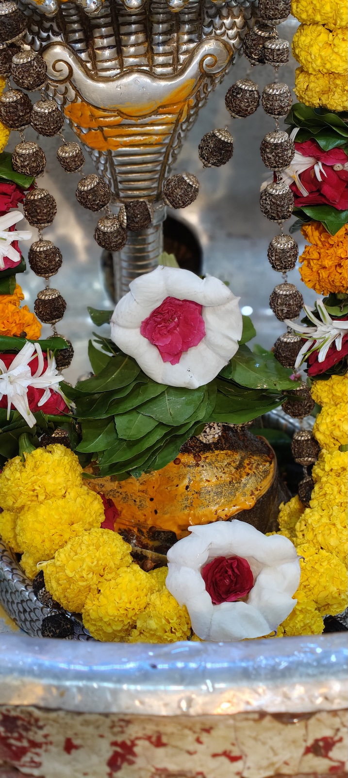 Rudrabhishek to Shree Kubereshwar Mahadev