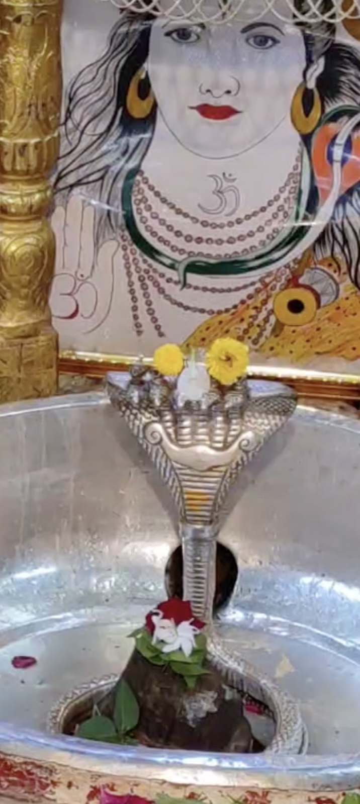 Rudrabhishek to Shree Kubereshwar Mahadev