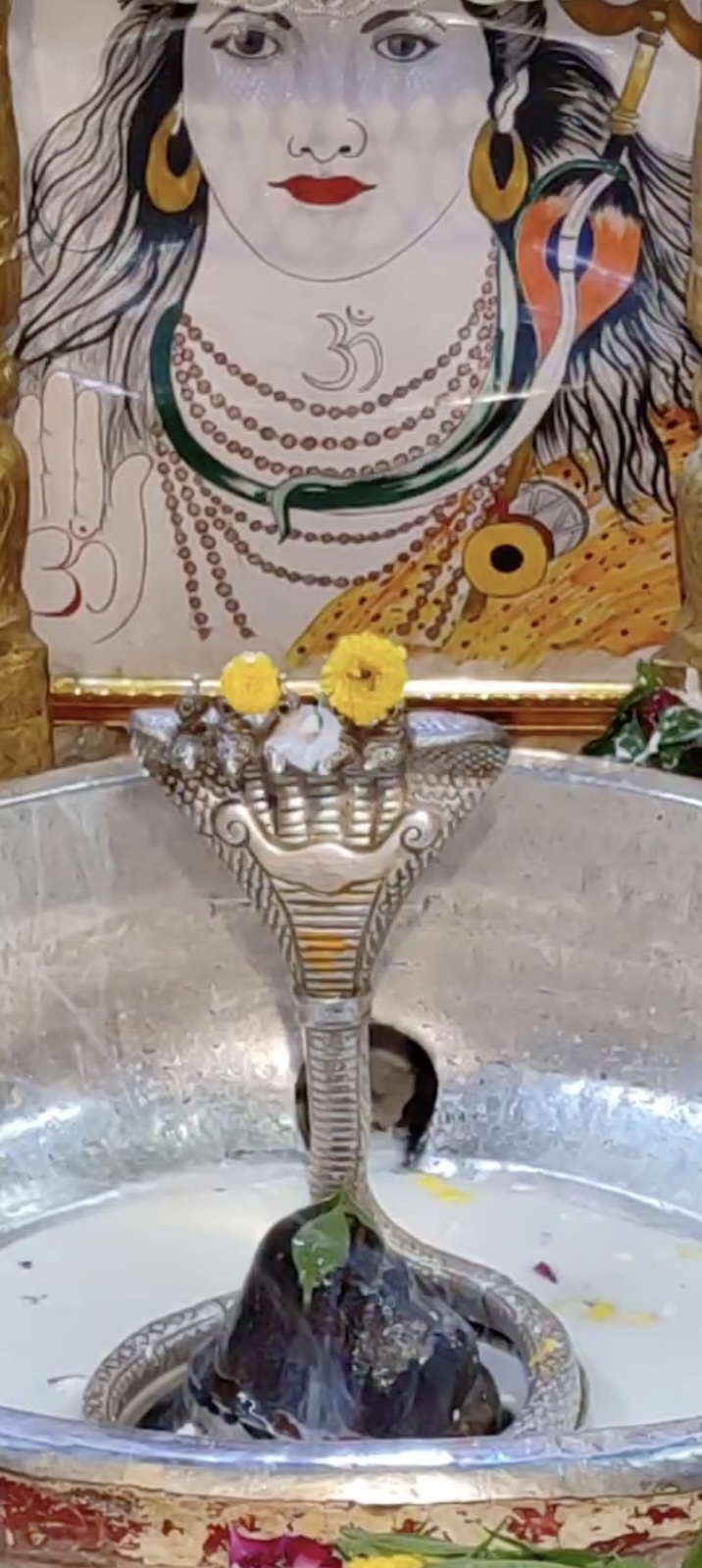 Rudrabhishek to Shree Kubereshwar Mahadev
