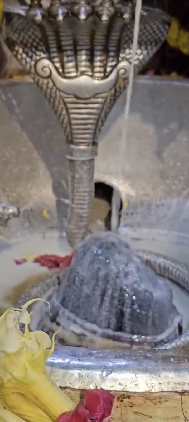 Rudrabhishek to Shree Kubereshwar Mahadev