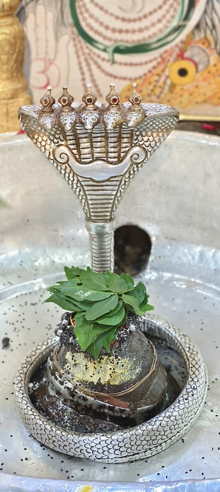 Rudrabhishek to Shree Kubereshwar Mahadev