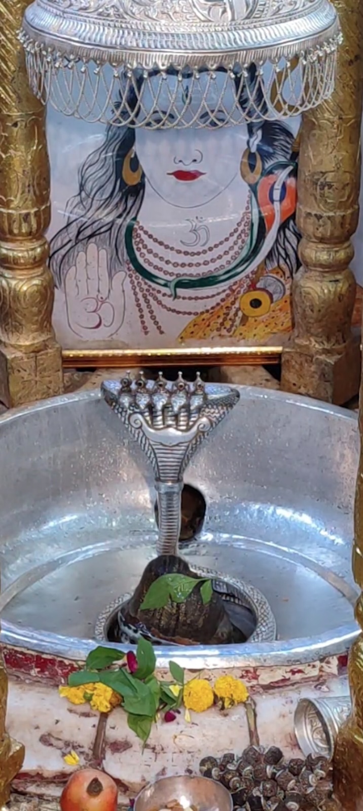 Rudrabhishek to Shree Kubereshwar Mahadev