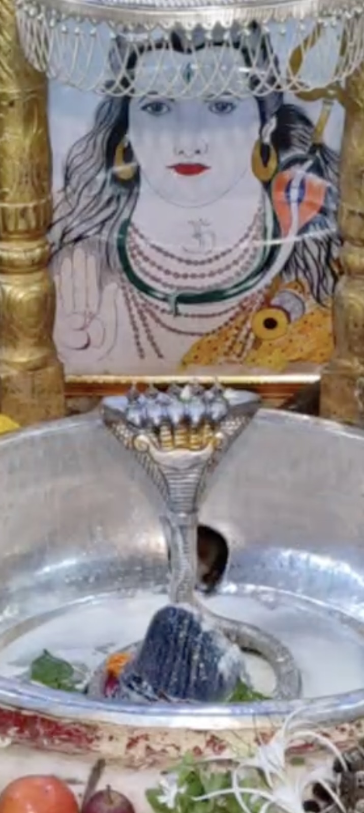 Rudrabhishek to Shree Kubereshwar Mahadev