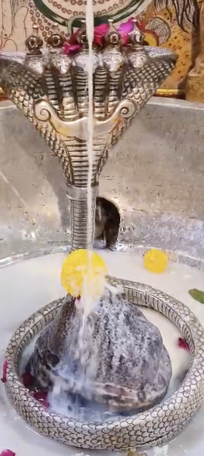 Rudrabhishek to Shree Kubereshwar Mahadev