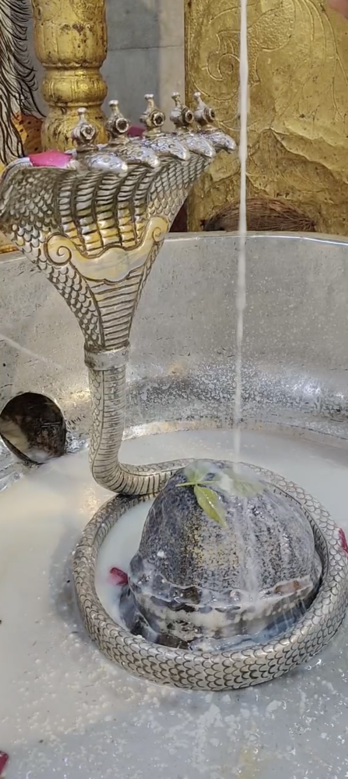 Rudrabhishek to Shree Kubereshwar Mahadev